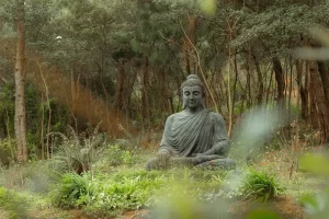 Why Buddha Meditated and the Benefits of Meditation