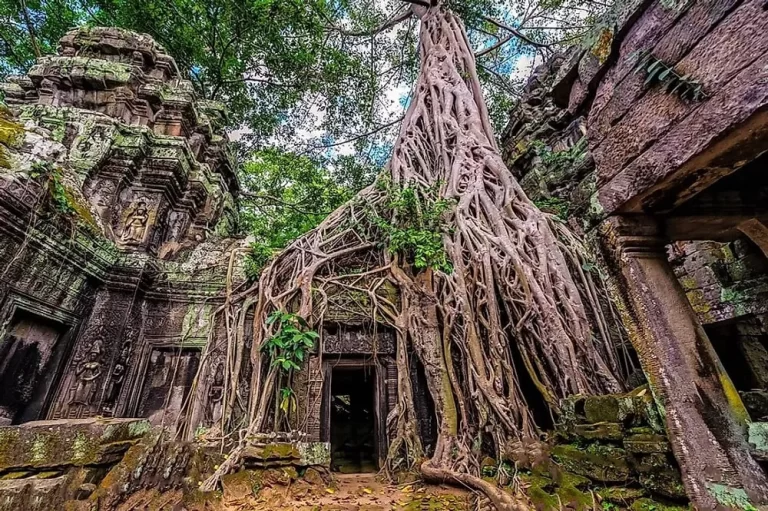 2. Ta Prohm