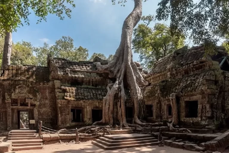 6. The other Ta Prohm