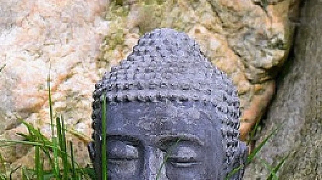How Many Snails are on Buddha Head ? How Many Snails are on Buddha Head ?